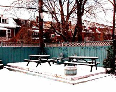 Transition House Toronto Back Patio View